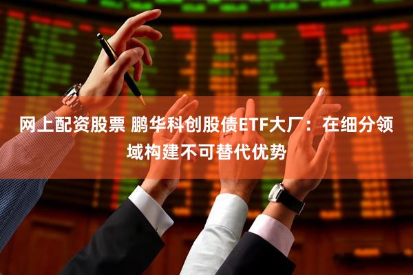 网上配资股票 鹏华科创股债ETF大厂：在细分领域构建不可替代优势
