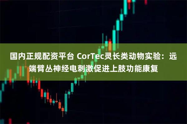 国内正规配资平台 CorTec灵长类动物实验：远端臂丛神经电刺激促进上肢功能康复